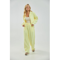Однотонний спортивний костюм із худі з капюшоном і прямими штанами  лимонний колір