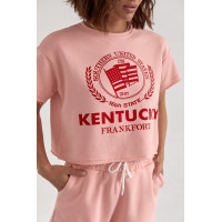 Жіночий спортивний комплект із шортами та футболкою  пудра колір