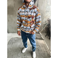 Мультяшний різнокольровий весняний чоловічий худі з принтом