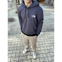 Стильний сірий осінній чоловічий худі the north face
