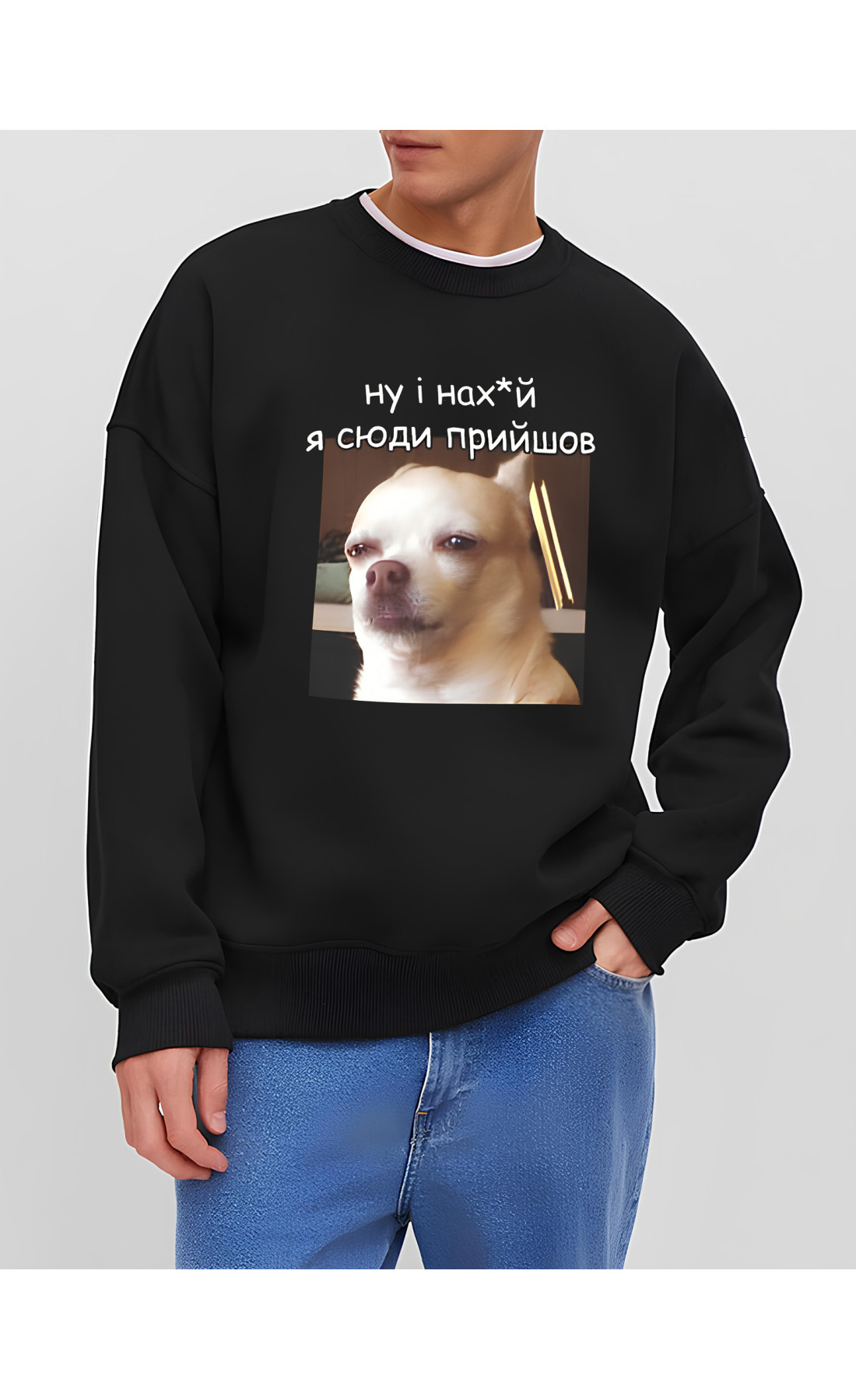 Світшот чоловічий стильний оверсайз дтф