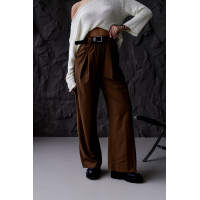 Жіночі брюки класика