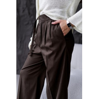 Жіночі брюки класика