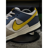 Чоловічі кросівки  Кросівки nike sb dunk low, кольорові (1068-5)