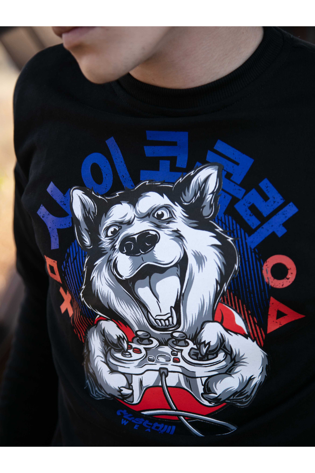 Світшот без начосу Custom Wear  Husky чорний