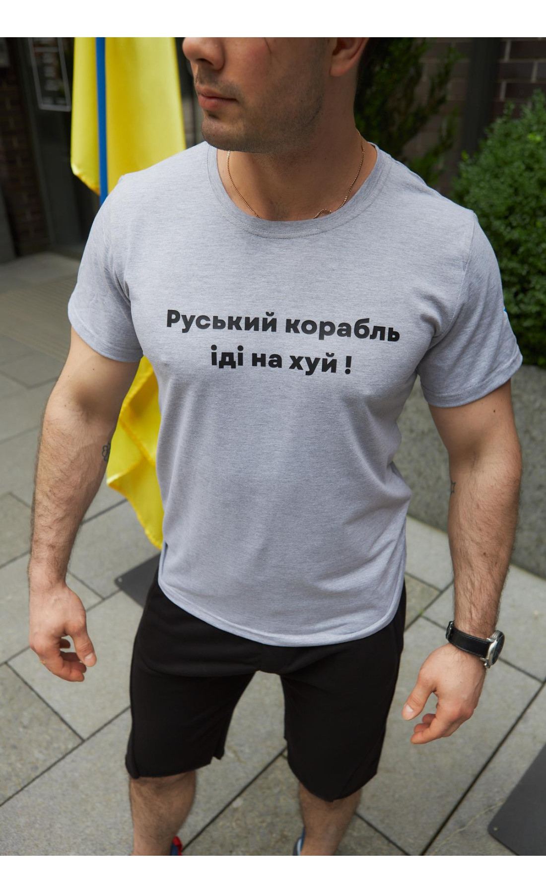 Футболка чоловіча "Руський корабль" Intruder сіра
