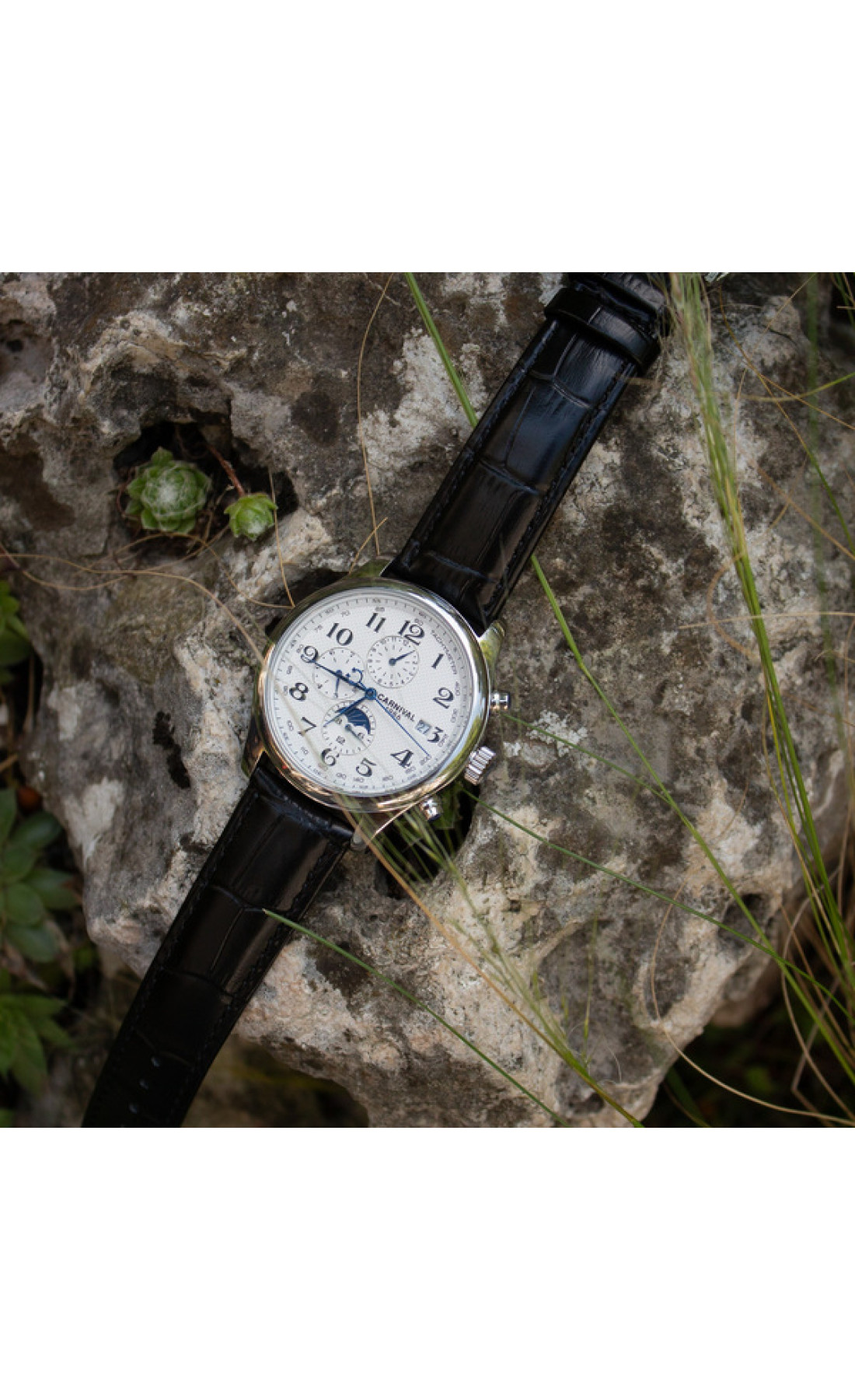 Чоловічий годинник  Carnival Masters