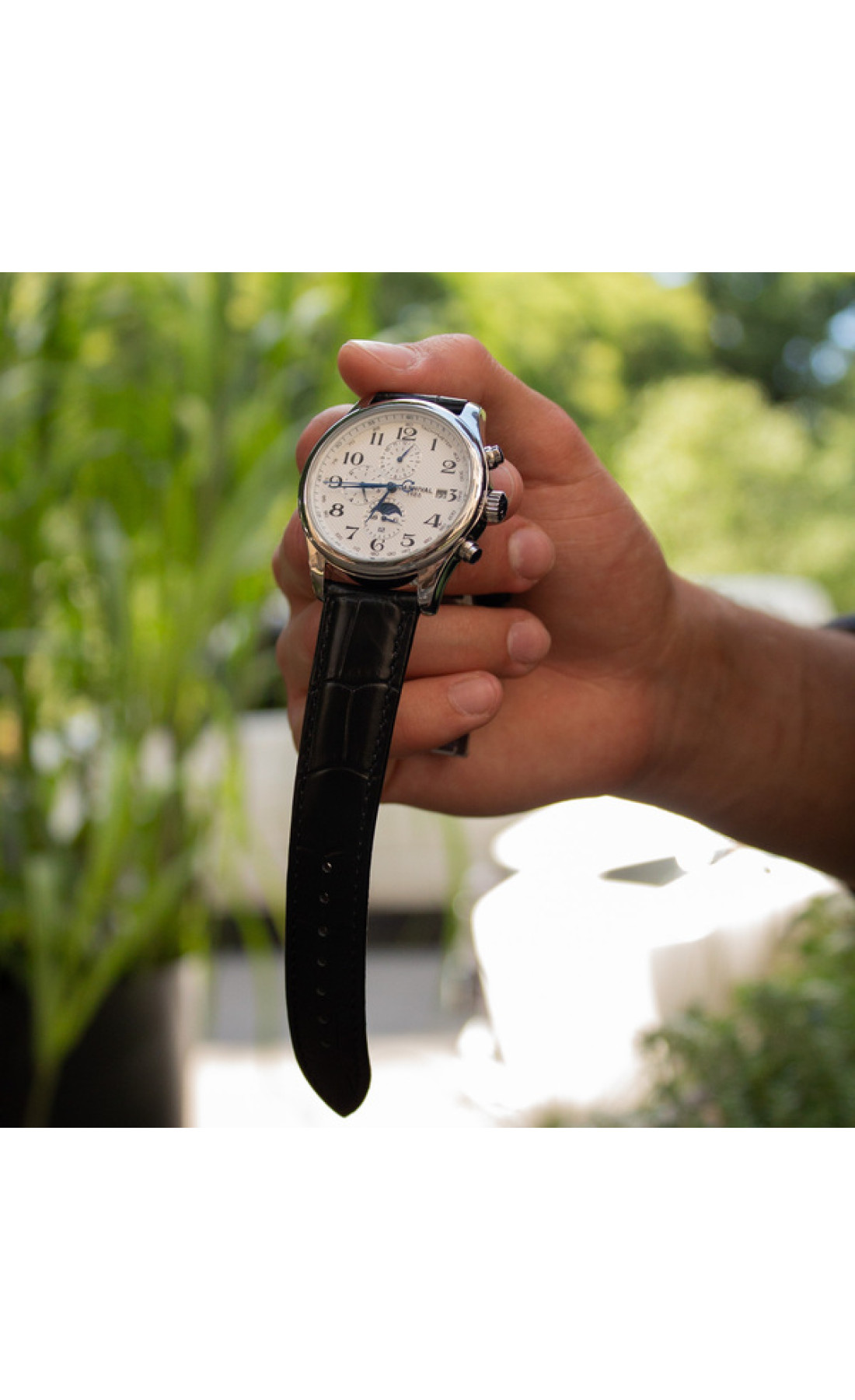 Чоловічий годинник  Carnival Masters